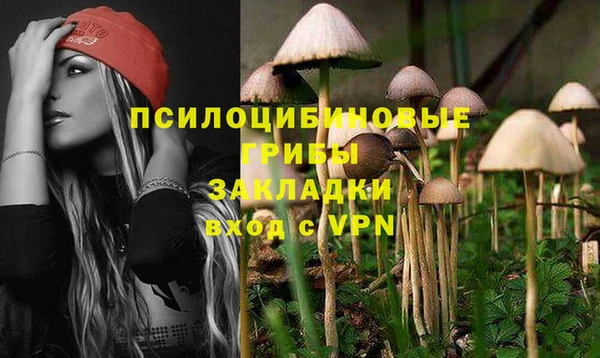 мескалин Чегем