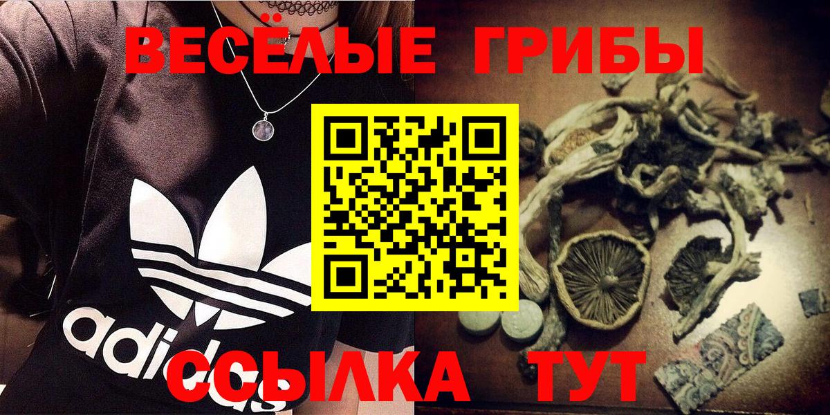 Псилоцибиновые грибы MAGIC MUSHROOMS Беслан