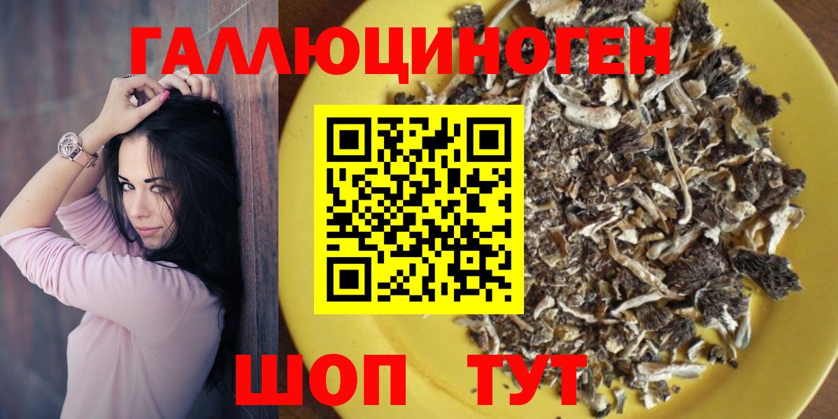 Беслан  Псилоцибиновые грибы мицелий  Вход с VPN 