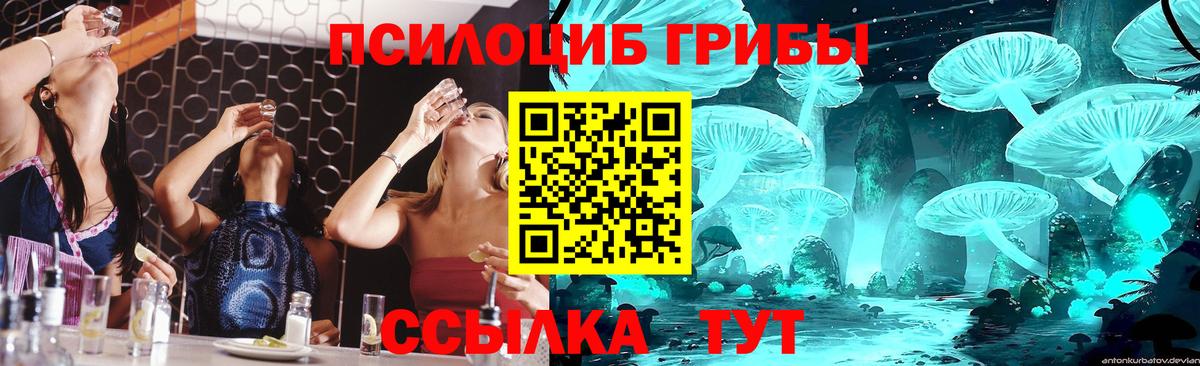 Галлюциногенные грибы GOLDEN TEACHER  Беслан 