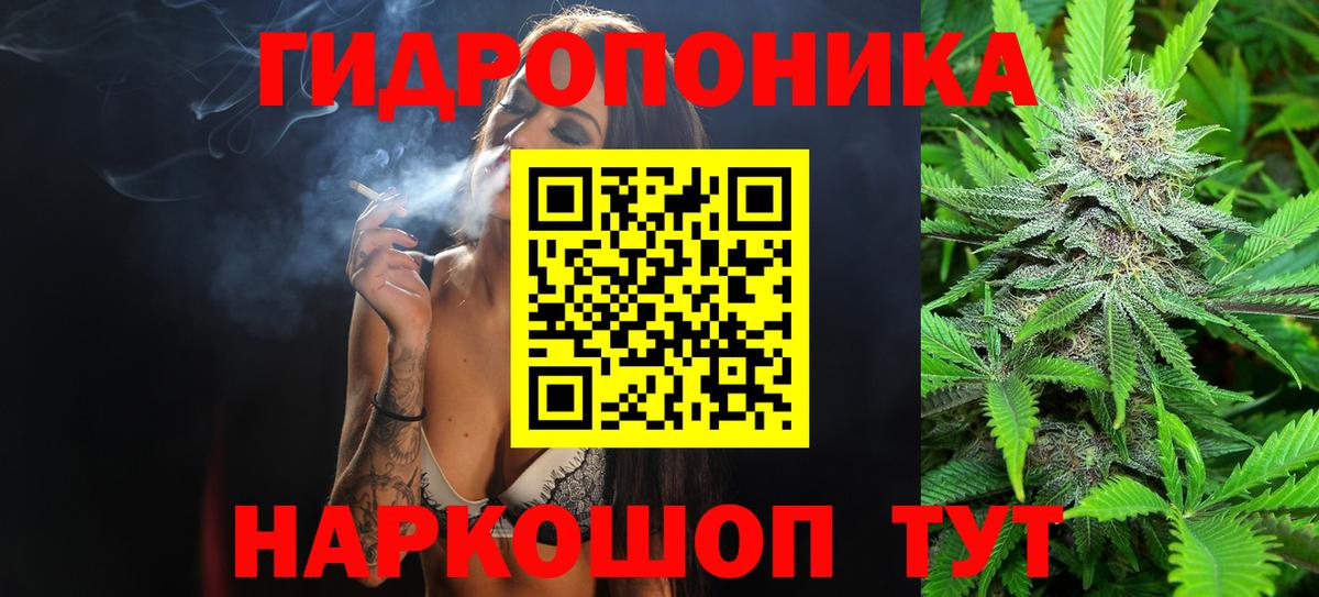 Бошки Шишки индика  Беслан  МАРИХУАНА марихуана  Конопля Ganja  Конопля гибрид 